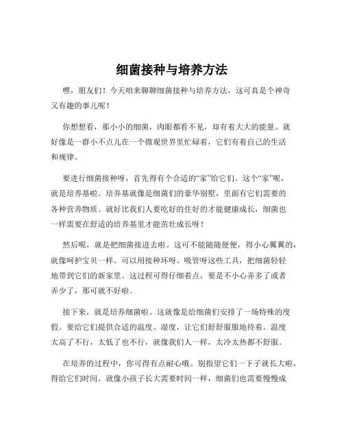 细菌接种与培养方法