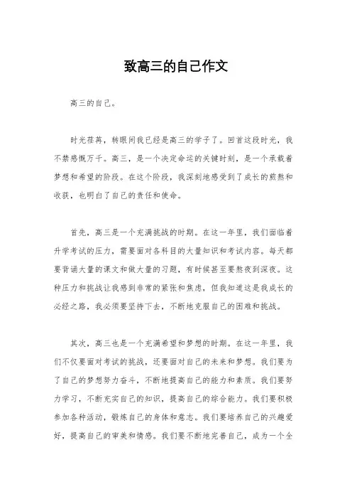 致高三的自己作文