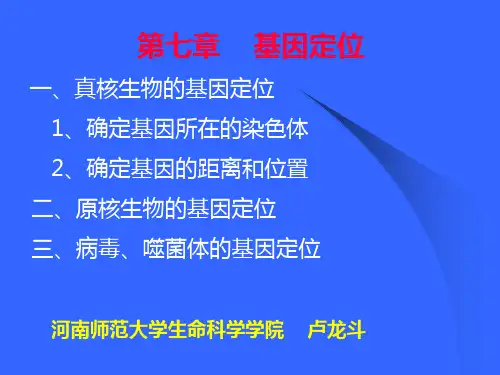基因定位