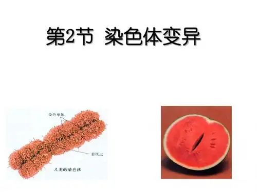 染色体变异