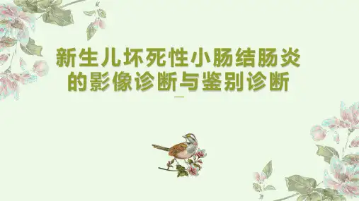 新生儿坏死性小肠结肠炎的影像诊断与鉴别诊断