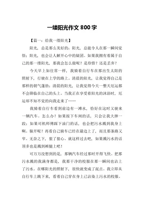 一缕阳光作文800字-1