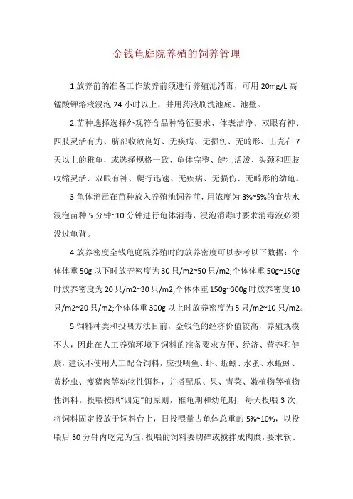 金钱龟庭院养殖的饲养管理