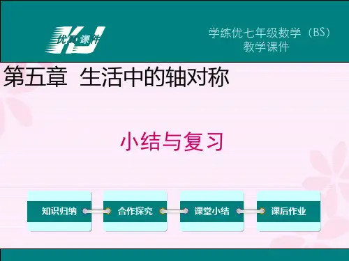 北师大七年级数学下-小结与复习 课件(5)