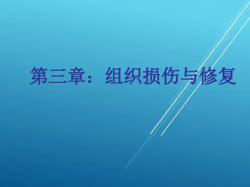 【兽医 病理学】第三章：组织损伤与修复