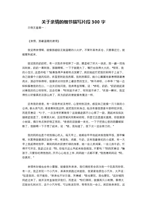 关于亲情的细节描写片段300字