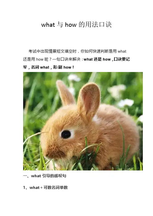 what与how的用法口诀