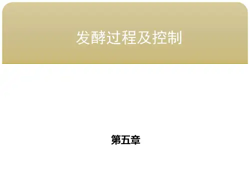 生化工艺 第五章发酵过程及控制 第四节发酵过程检测和自控