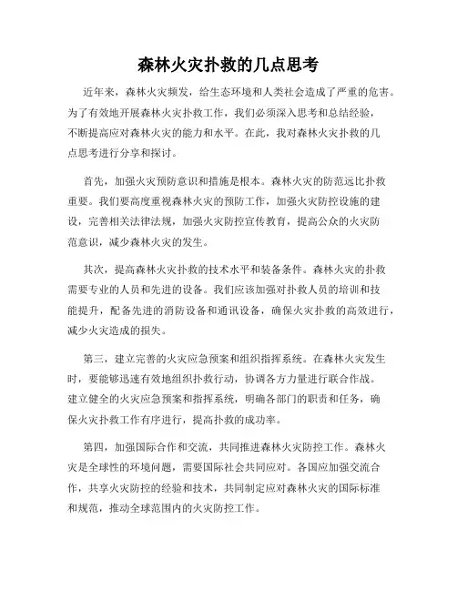 森林火灾扑救的几点思考