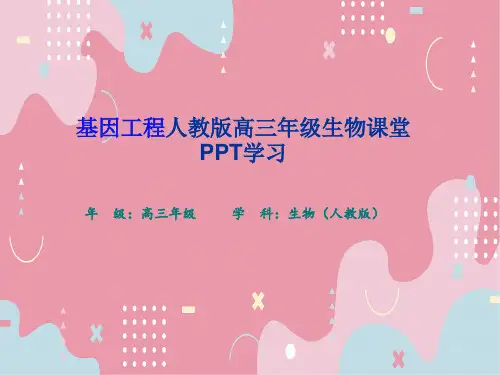 基因工程人教版高三年级生物课堂PPT学习