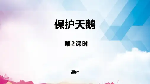 保护天鹅PPT课件(1)