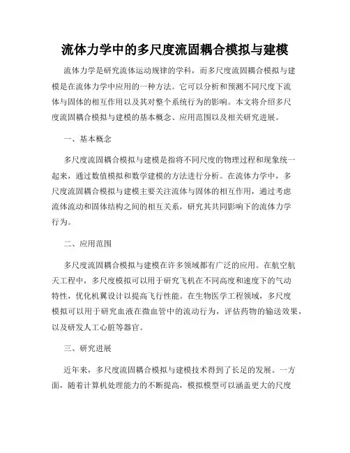 流体力学中的多尺度流固耦合模拟与建模