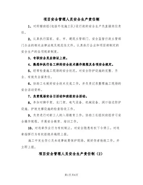 项目安全管理人员安全生产责任制(5篇)