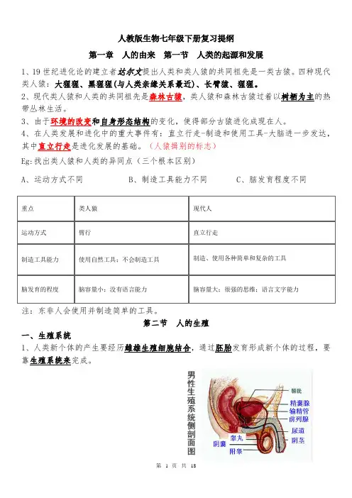 人教版 生物七年级 下册 复习提纲