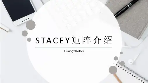 项目管理-STACEY矩阵