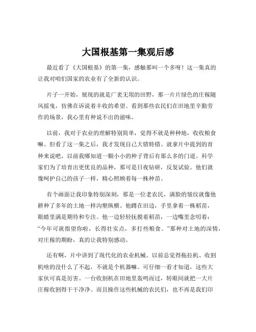 大国根基第一集观后感