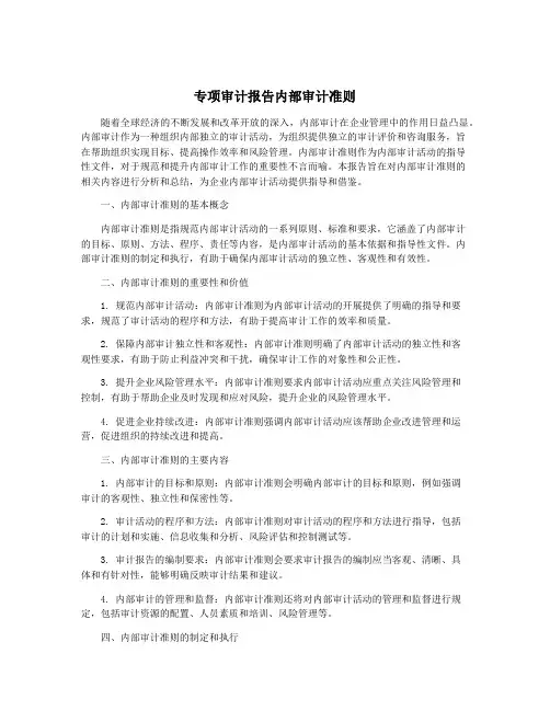 专项审计报告内部审计准则