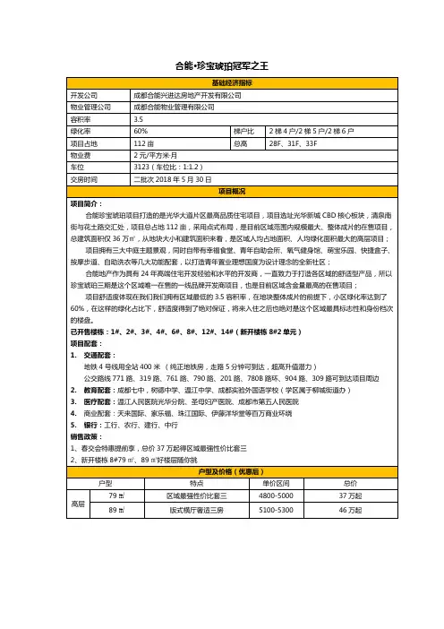 房产项目介绍案例-合能·珍宝琥珀