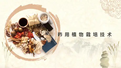 药用植物种植制度和土壤耕作技术