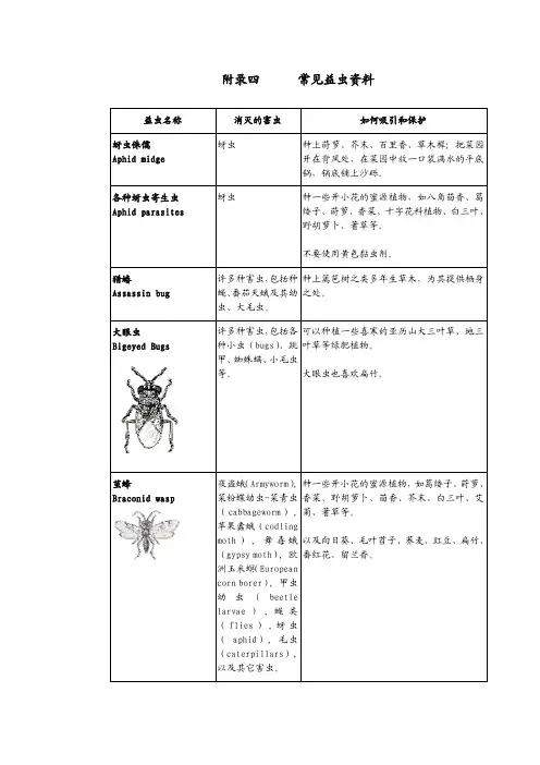 菜园里的学问附录四常见益虫资料