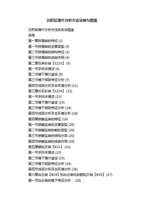沉积岩薄片分析方法实例与图鉴