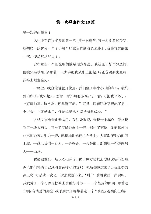 第一次登山作文10篇