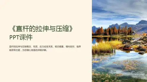 《直杆的拉伸与压缩》课件