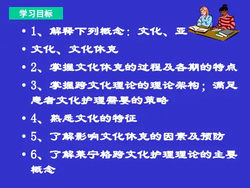 多元文化与护理_PPT幻灯片