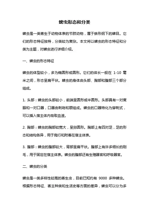 蜱虫形态和分类