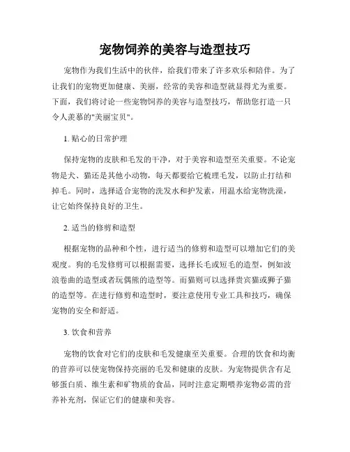 宠物饲养的美容与造型技巧