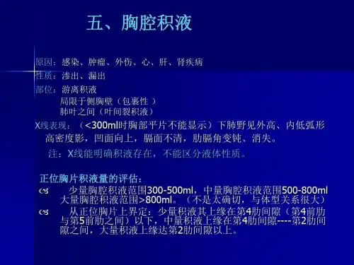 X线胸片阅读