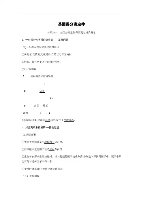 生物必修二  基因的分离定律  知识点 知识总结 基础梳理