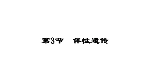 高中生物(2019)必修2课件第2章第3节伴性遗传