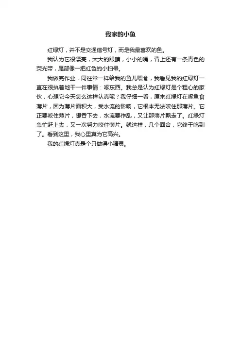 我家的小鱼