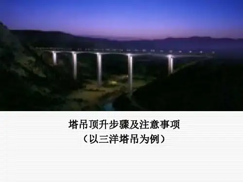 塔吊顶升步骤及注意事项专题讲解