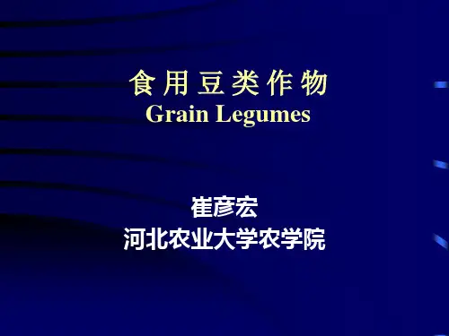 食用豆类作物GrainLegumes课件-PPT文档资料