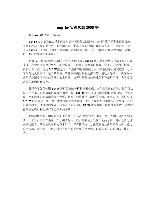 sap bw实训总结2000字