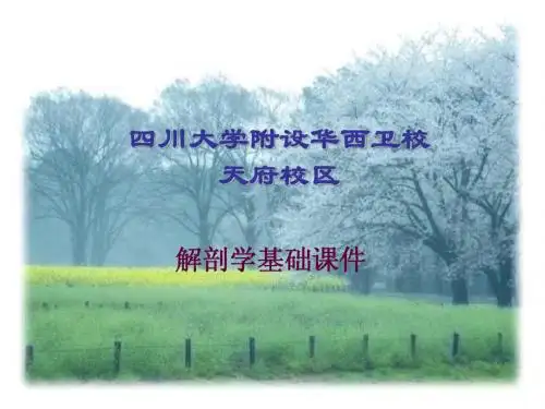第六章生殖系统