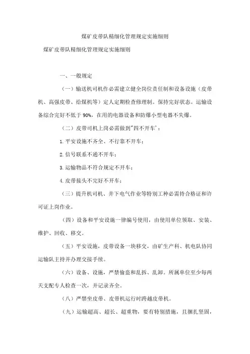 煤矿皮带队精细化管理规定实施细则