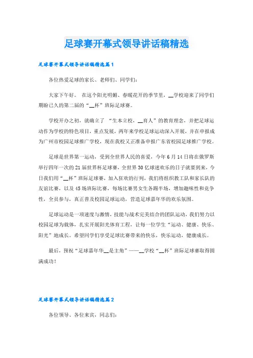足球赛开幕式领导讲话稿精选