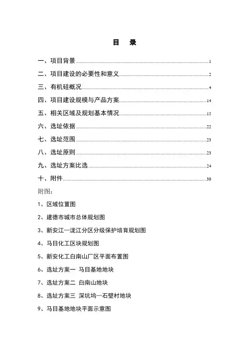 新安化工10万吨年有机硅选址论证