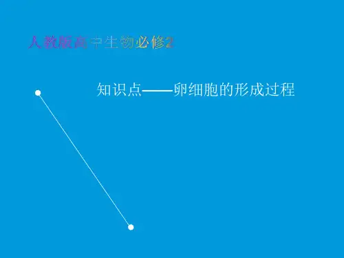 人教版高中生物必修2教学课件知识点-卵细胞的形成过程