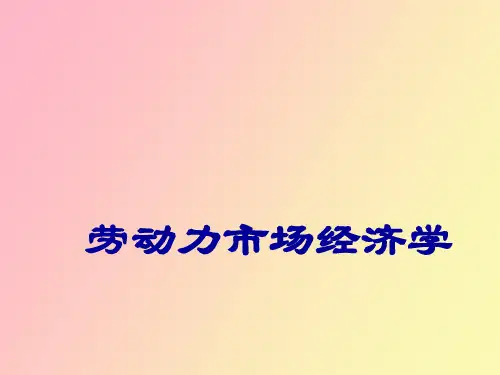 劳动力市场经济学