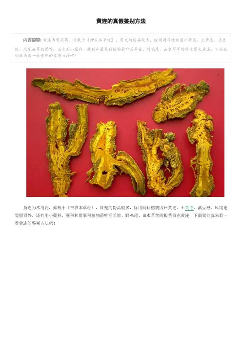黄连的真假鉴别方法