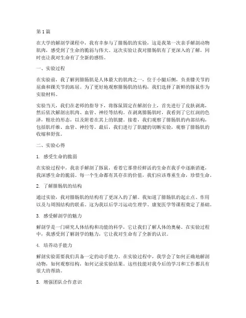 腓肠肌实验心得体会感悟(3篇)