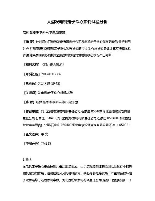 大型发电机定子铁心损耗试验分析