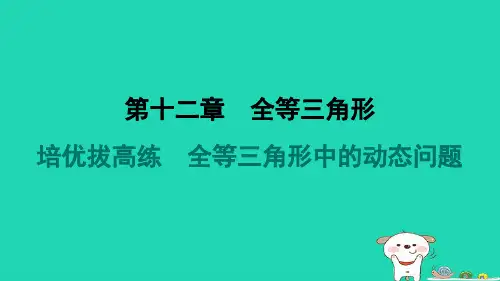 河北省八年级数学上册拔高练全等三角形中的动态问题新版新人教版