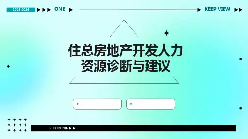 住总房地产开发人力资源诊断与建议
