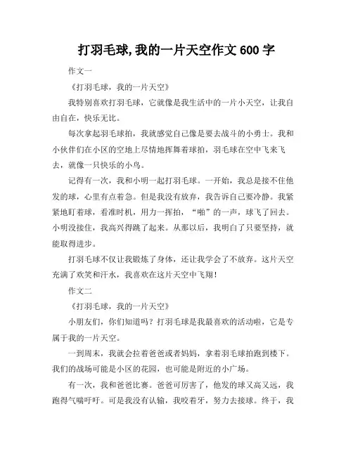 打羽毛球,我的一片天空作文600字