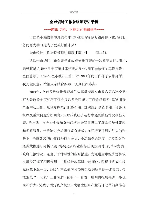 全市统计工作会议领导讲话稿